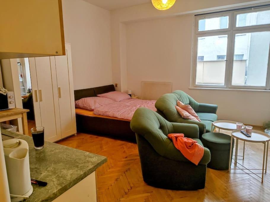 Cosy Warm Apartment In The Heart Of Prague. Eksteriør billede